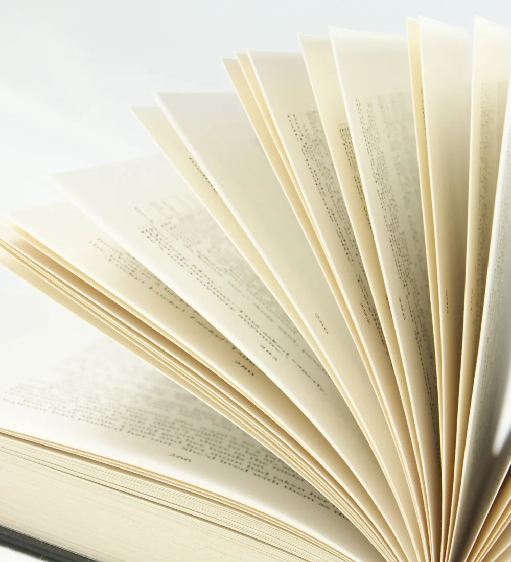 Dialog im Fokus Dialog im Fokus