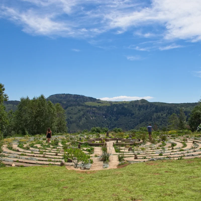 Verhaltensstörungen & Süchte